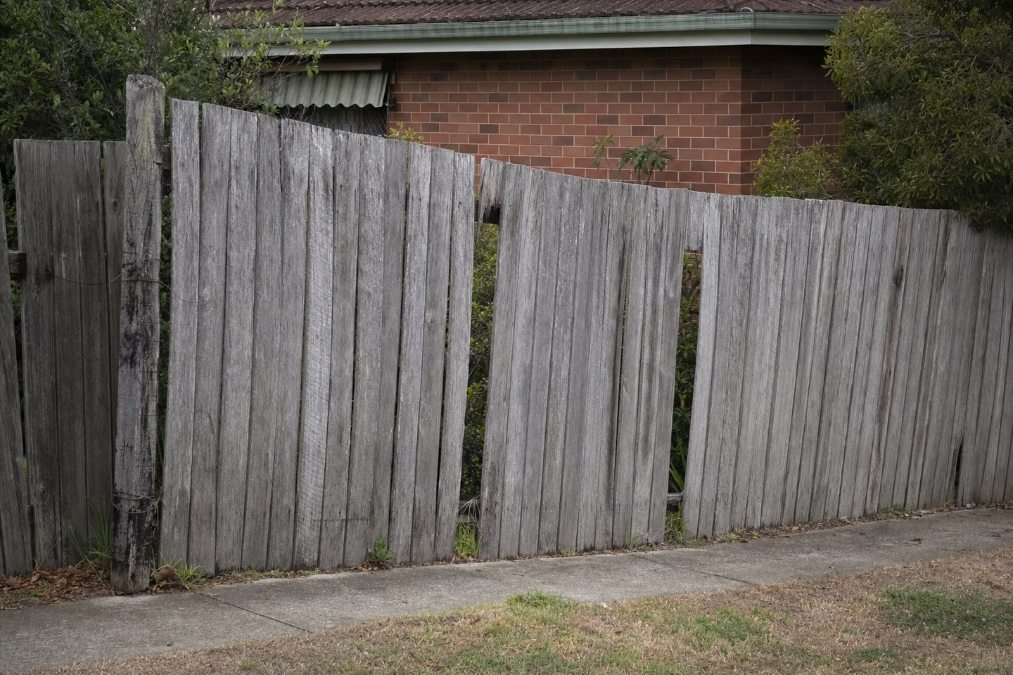 A leaning, gap-toothed grey paling fence before replacement