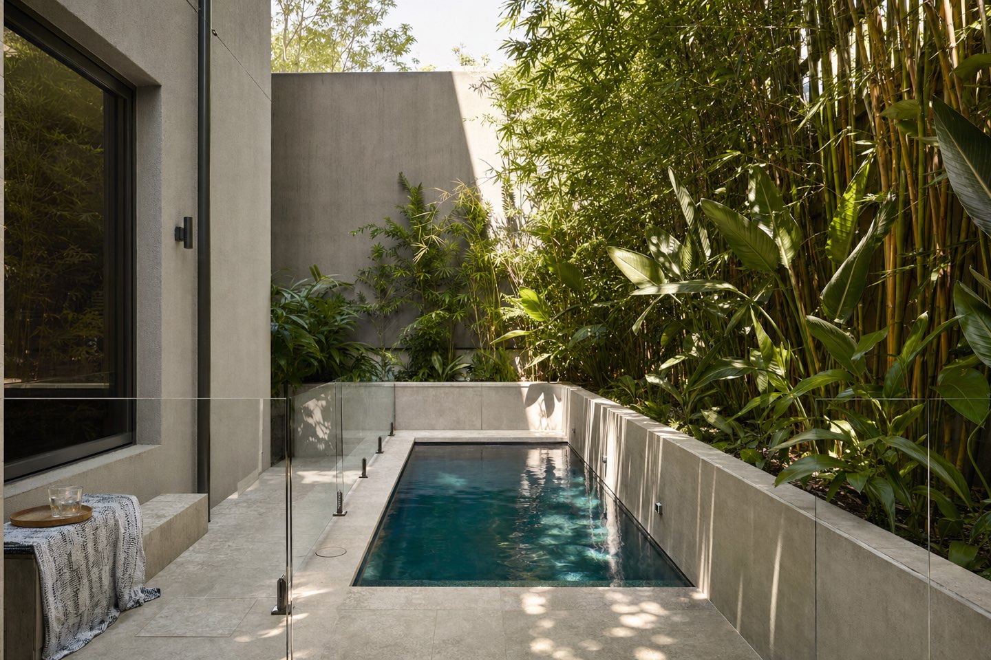 Compact plunge pool in a lush inner-city Brisbane courtyard