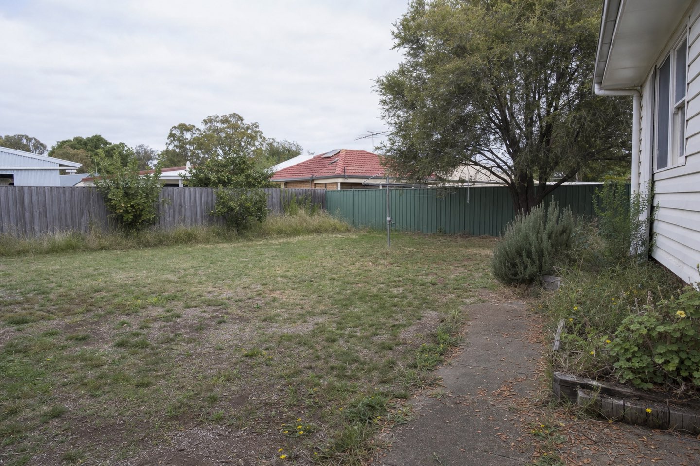 A patchy, overgrown backyard before starting a plan